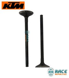 Válvula De Escape Duke 250 / Adventure 250 / Husqvarna 250 Original KTM Válvula De Escape Duke 250 / Adventure 250 / Husqvarna 250 Original KTM