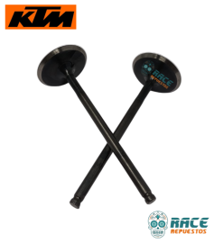 Válvulas de Admisión Duke 200 / RC 200 Original KTM Válvulas de Admisión Duke 200 / RC 200 Original KTM