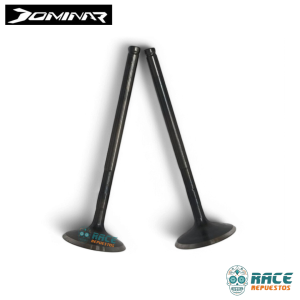 VALVULA ADMISION DOMINAR 250