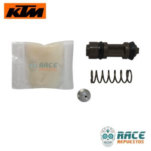 KIT DE REPARACION CILINDRO (con piston) KTM DUKE 200 250 390 KTM ADVENTURE