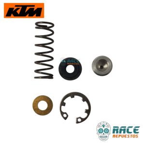KIT DE REPARACION MENOR CILINDRO (con piston) KTM DUKE 200 250 390 KTM ADVENTURE