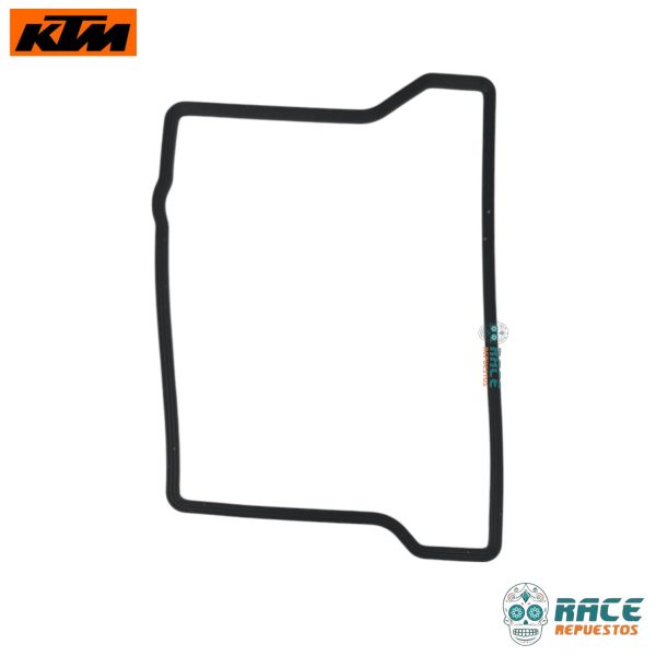 KTM Duke 390 Generacion-3 Svartpilen 401 Original - Image 3