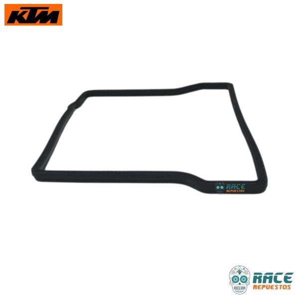 KTM Duke 390 Generacion-3 Svartpilen 401 Original - Image 5