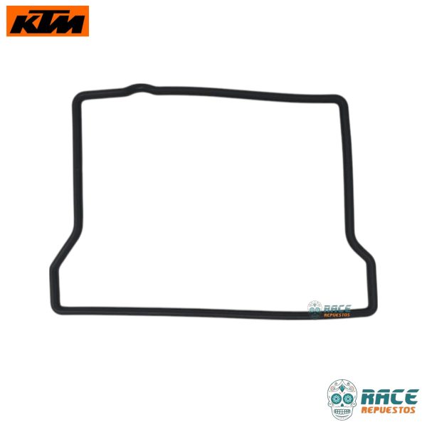 KTM Duke 390 Generacion-3 Svartpilen 401 Original