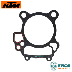 Empaquetadura de Cilindro KTM Duke 250 Genraccion-3 Original